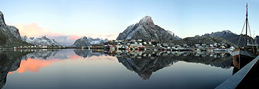 Reine