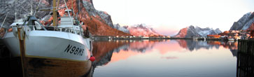 Reine